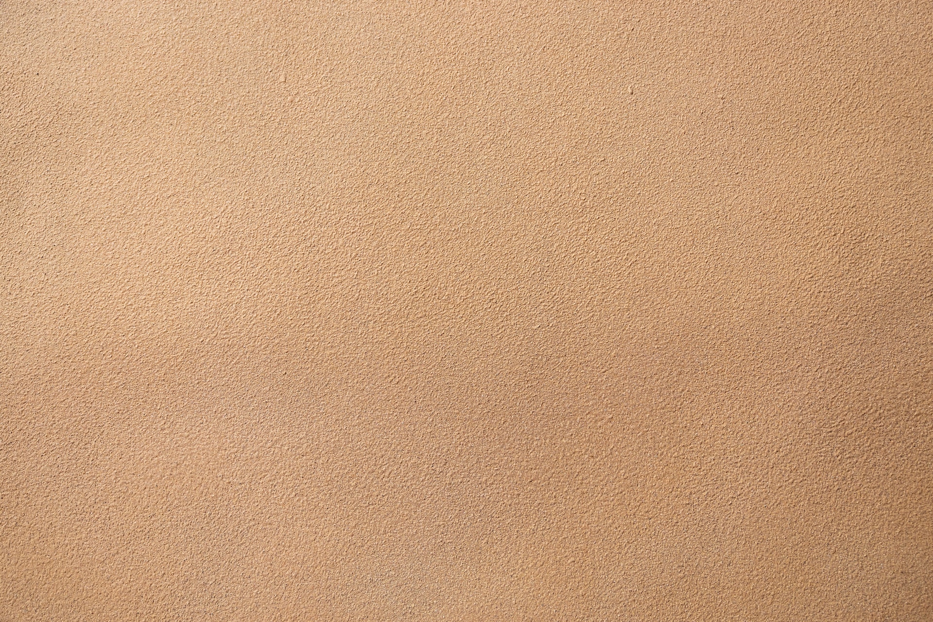 vic-shen-2EpzEKwKPpo-unsplash